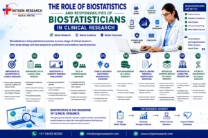 Infographic showing the role of biostatistics and biostatisticians in clinical research